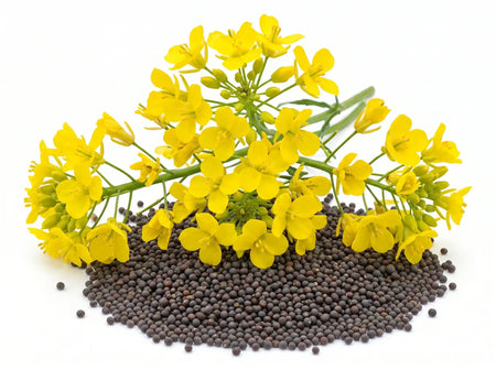 12 Targeted Ingredients That Help Power Hormone Balance